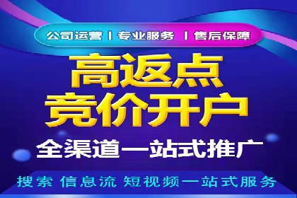 某SEM主管的跨平台广告投放策略与成果